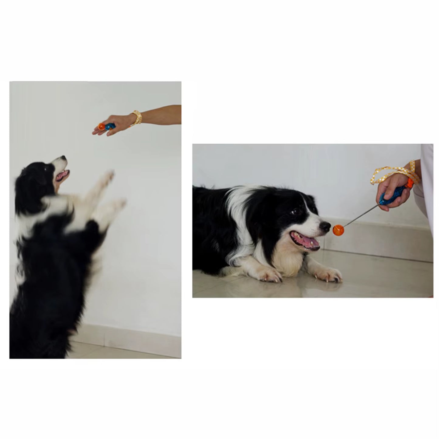 Novelty Stretchable Design Pet Dog Cat Training Clicker Agility Clickers Bird Whistle Commander Supply Accessory