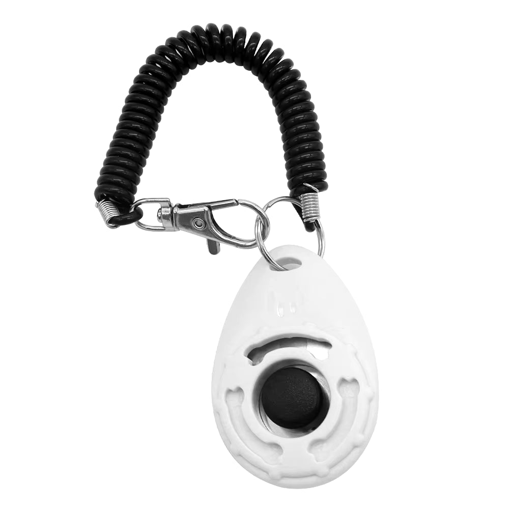 Dog Supplies, Dog Trainers, Special Marker for Pet Behavior Correction Instructions