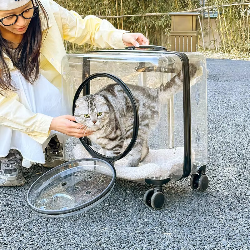 Large Luxury Square Pet Carrier Bag Travel Trolley Transparent Cat Dog Universal Wheel Rolling Carrier Trolley Case