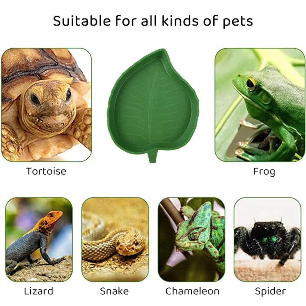 Leaf Shape Reptile Feeder Food Water Bowl for Turtle Lizards Hamsters Snakes Tortoise Gecko Small Pets Feeder Pet Supplies