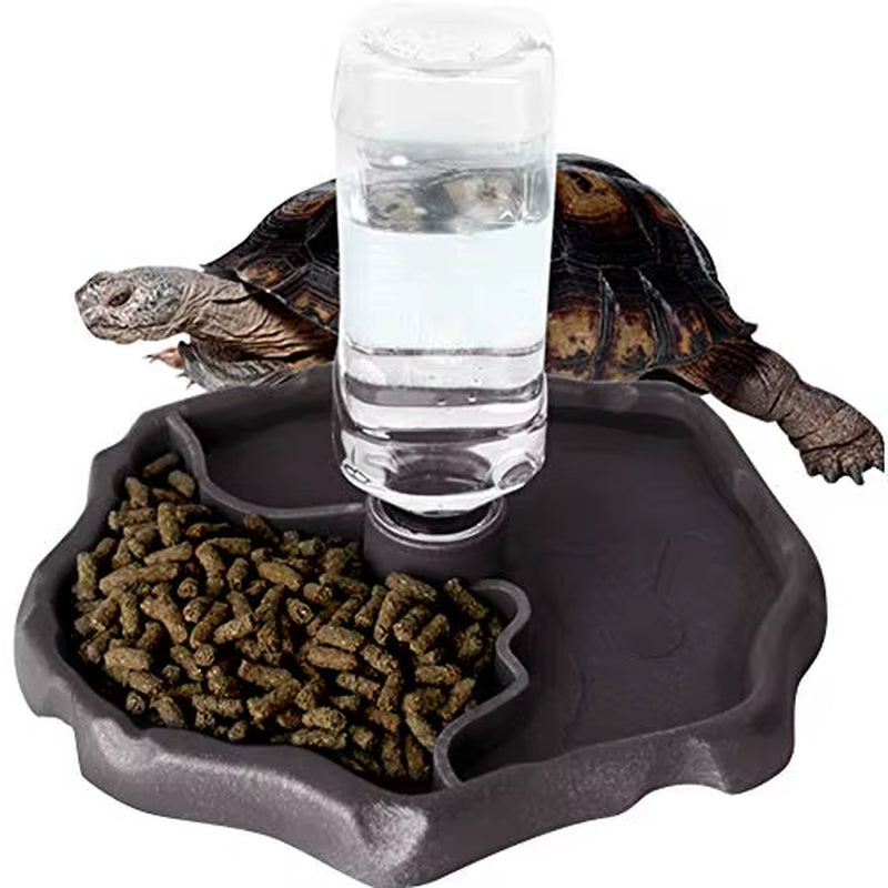Reptile Feeders Waterer Automatic-Refilling Turtle Water Dispenser Bottle Tortoise Food Water Bowl Feeding Dish for Lizards