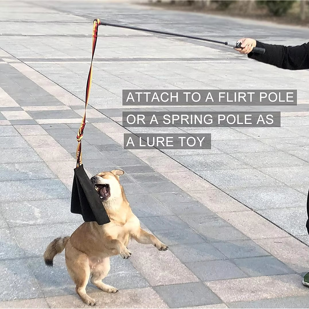 Interactive Flirt Pole for Dogs, Leather Bite Rag, Dog Chew Toys, Puppy Ball Toys for Teething Small and Large Dogs, K9 Training