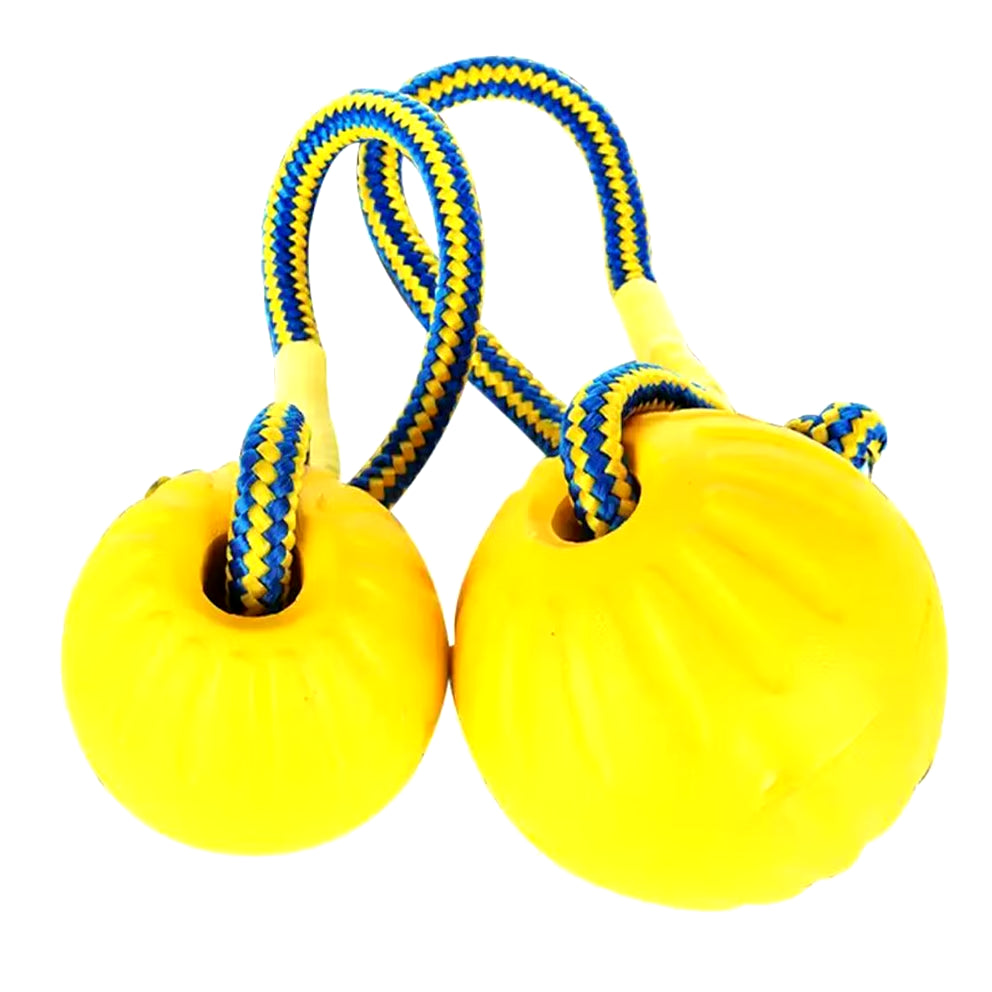 Interactive Flirt Pole for Dogs, Leather Bite Rag, Dog Chew Toys, Puppy Ball Toys for Teething Small and Large Dogs, K9 Training