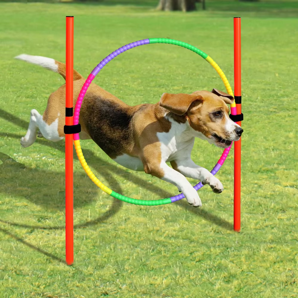 Outdoor Dog Obstacle Training Set Pet Agility Equipment Jumping Set Dog Training Accessories Dog Obstacle Course Pet Supplies