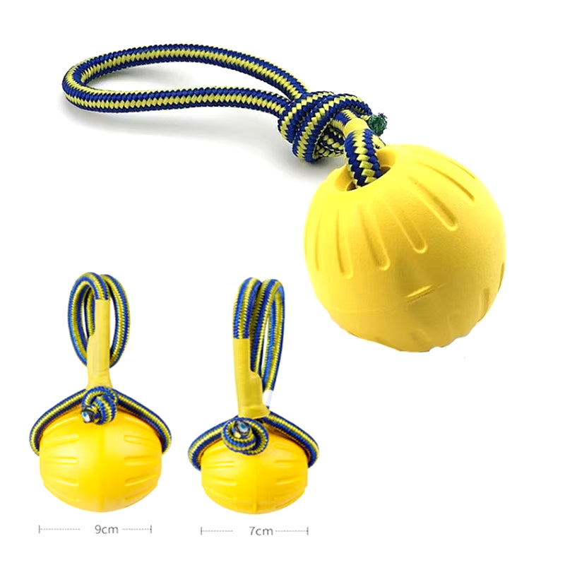 Interactive Flirt Pole for Dogs, Leather Bite Rag, Dog Chew Toys, Puppy Ball Toys for Teething Small and Large Dogs, K9 Training