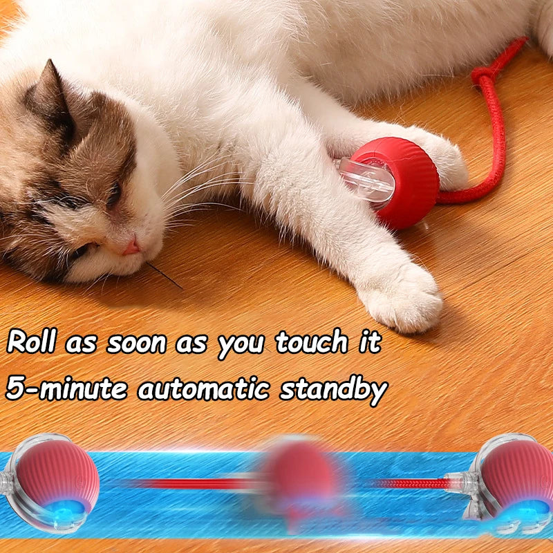 Cat Interactive Ball Toys Automatic Rolling Ball Faux Tail Rechargeable Smart Pet Electric Toy Dog Cat Training Imitate Mouse