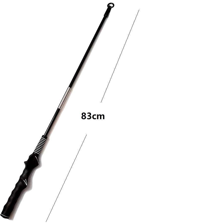Interactive Flirt Pole for Dogs, Leather Bite Rag, Dog Chew Toys, Puppy Ball Toys for Teething Small and Large Dogs, K9 Training