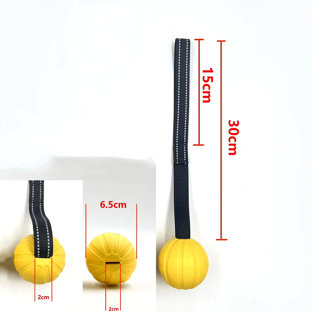 Interactive Flirt Pole for Dogs, Leather Bite Rag, Dog Chew Toys, Puppy Ball Toys for Teething Small and Large Dogs, K9 Training