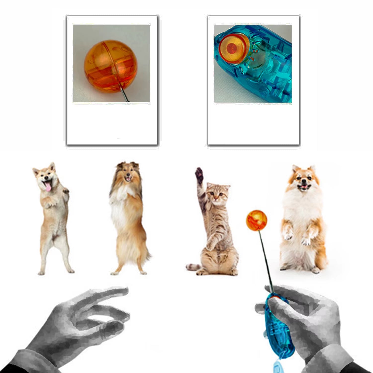 Novelty Stretchable Design Pet Dog Cat Training Clicker Agility Clickers Bird Whistle Commander Supply Accessory