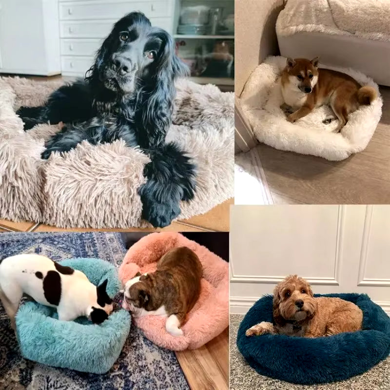 Rectangle Plush Dog Bed Winter Warm Mat Small Medium Big Pet Cat Dog Bed Kennel Puppy Sofacama Cat Cushion Pets Sofa Accessories