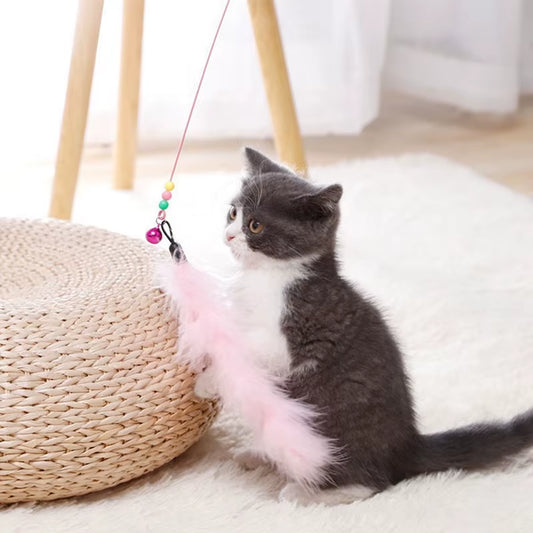 Cat Teaser Stick with Bell, Feather, Long Rod Suction Cup