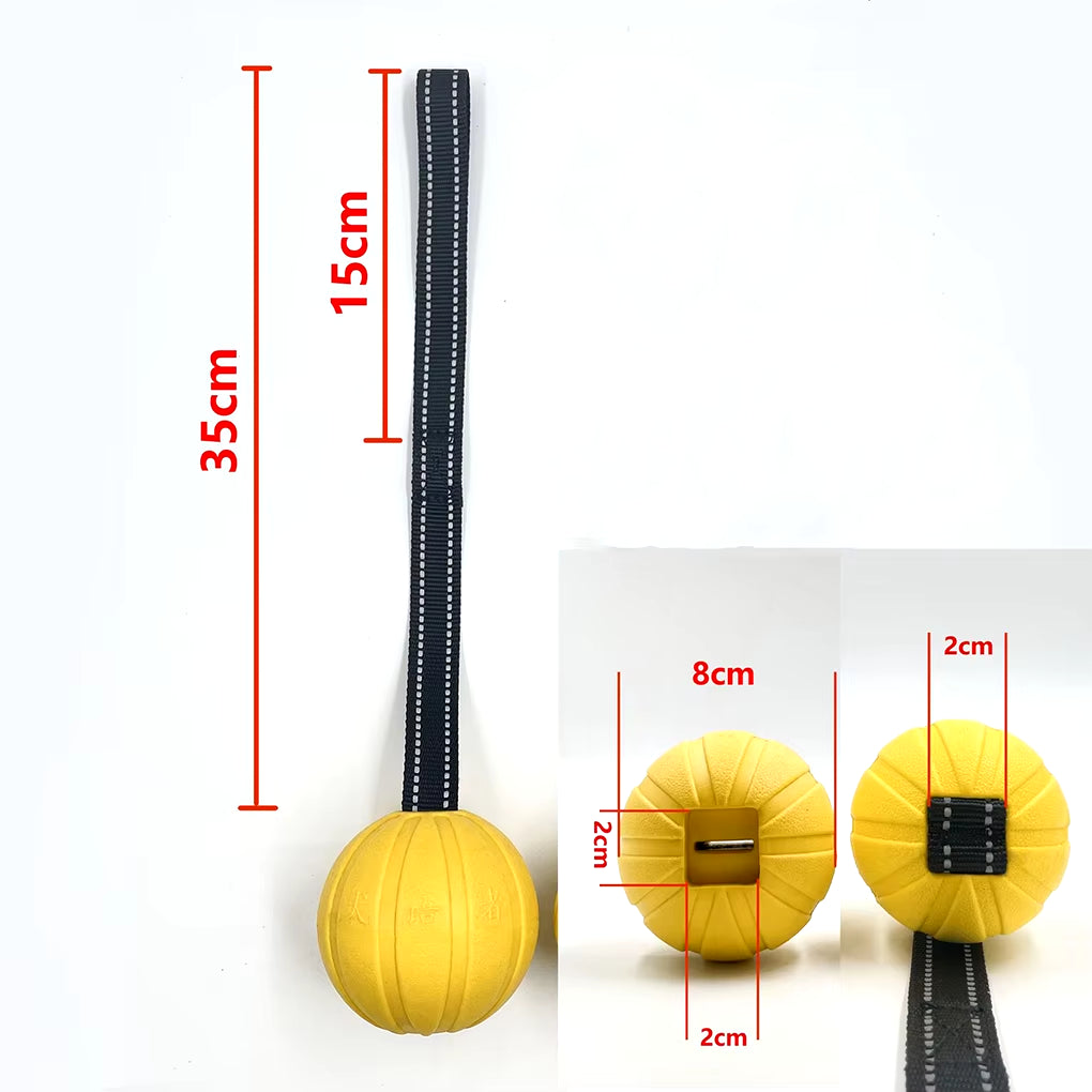 Interactive Flirt Pole for Dogs, Leather Bite Rag, Dog Chew Toys, Puppy Ball Toys for Teething Small and Large Dogs, K9 Training
