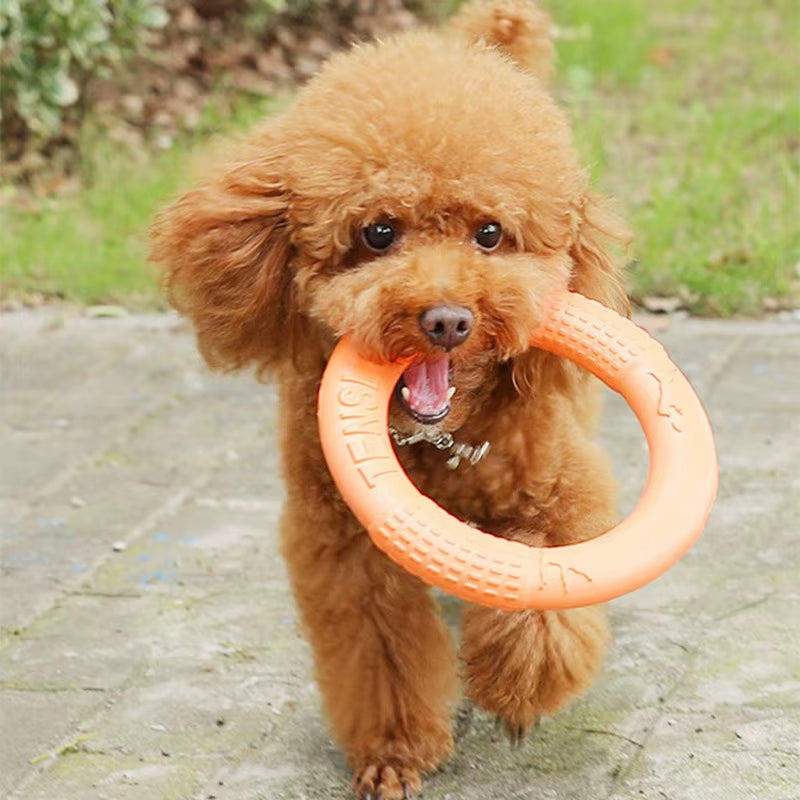 1PCS Orange Dog Toys Pet Flying Disk Training Ring Puller EVA Interactive Training Ring Puller Resistant for Dogs Training Toys