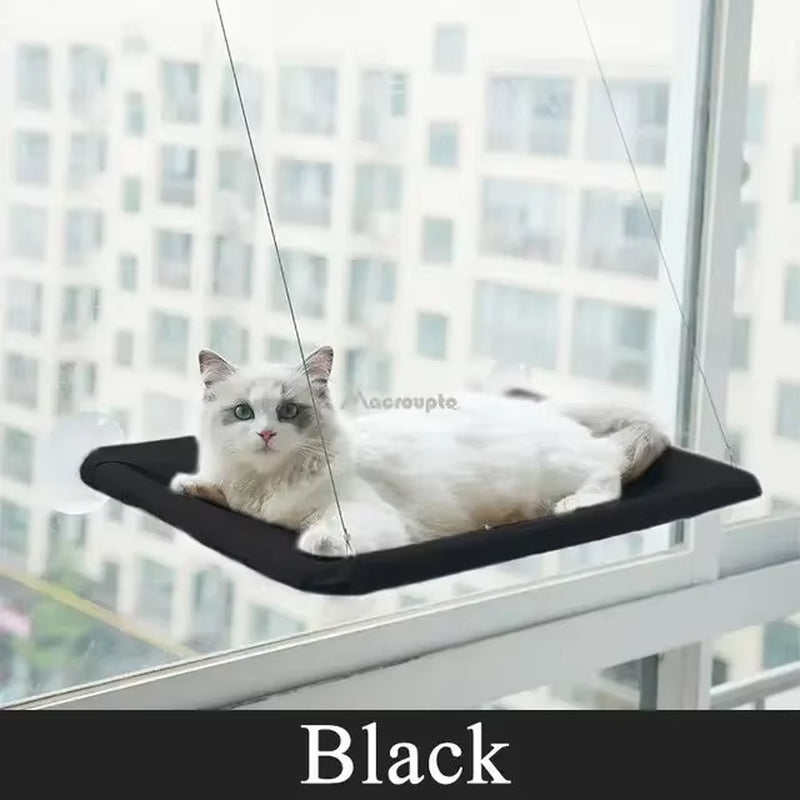 Hanging Cat Bed Pet Cat Hammock Aerial Cats Bed House Kitten Climbing Frame Sunny Window Seat Nest Bearing 20Kg Pet Accessories