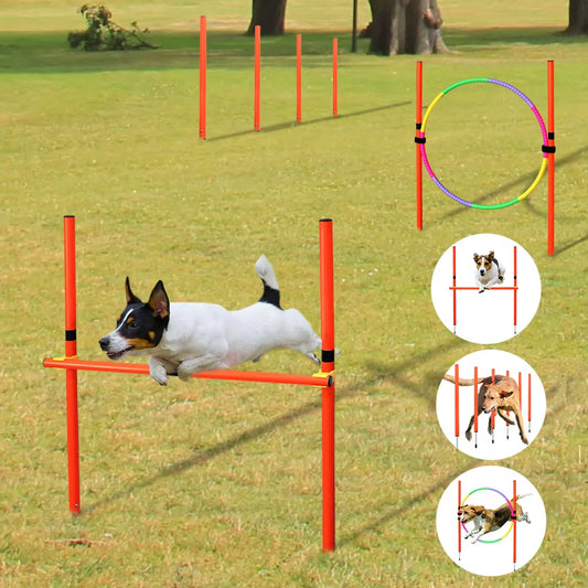 Outdoor Dog Obstacle Training Set Pet Agility Equipment Jumping Set Dog Training Accessories Dog Obstacle Course Pet Supplies