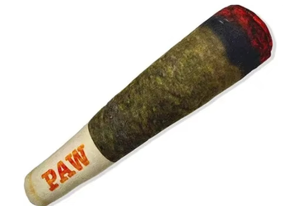 Plush Squeaky Toys for Medium, Small and Large - Cool Stuffed Cute Gifts for Dog Birthday