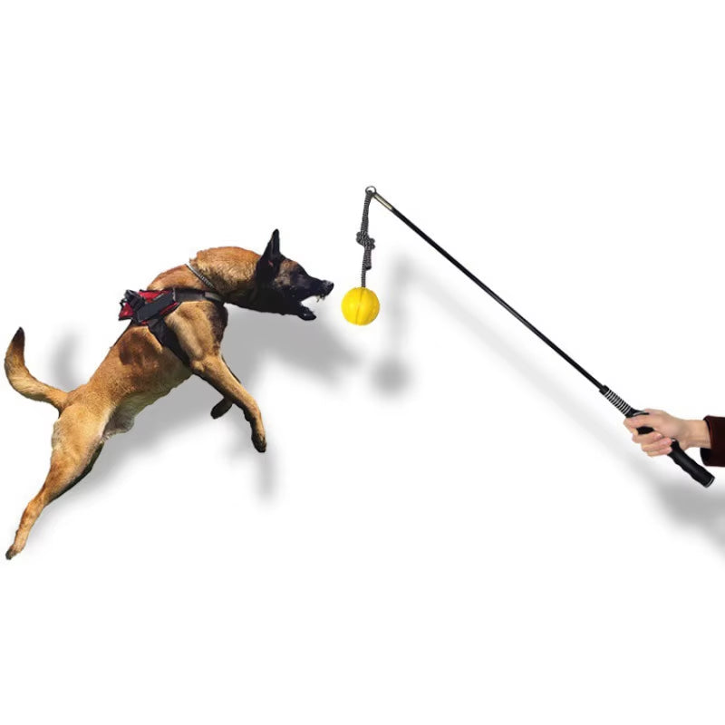Interactive Flirt Pole for Dogs, Leather Bite Rag, Dog Chew Toys, Puppy Ball Toys for Teething Small and Large Dogs, K9 Training